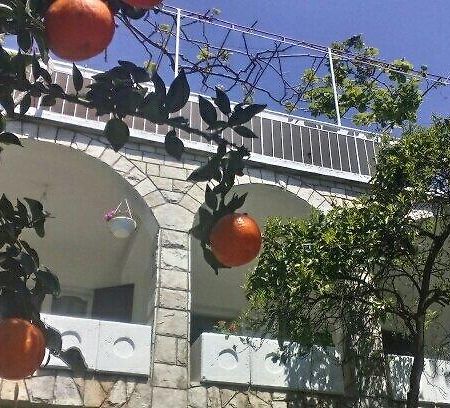 House Orange Apartments Herceg Novi Exterior foto